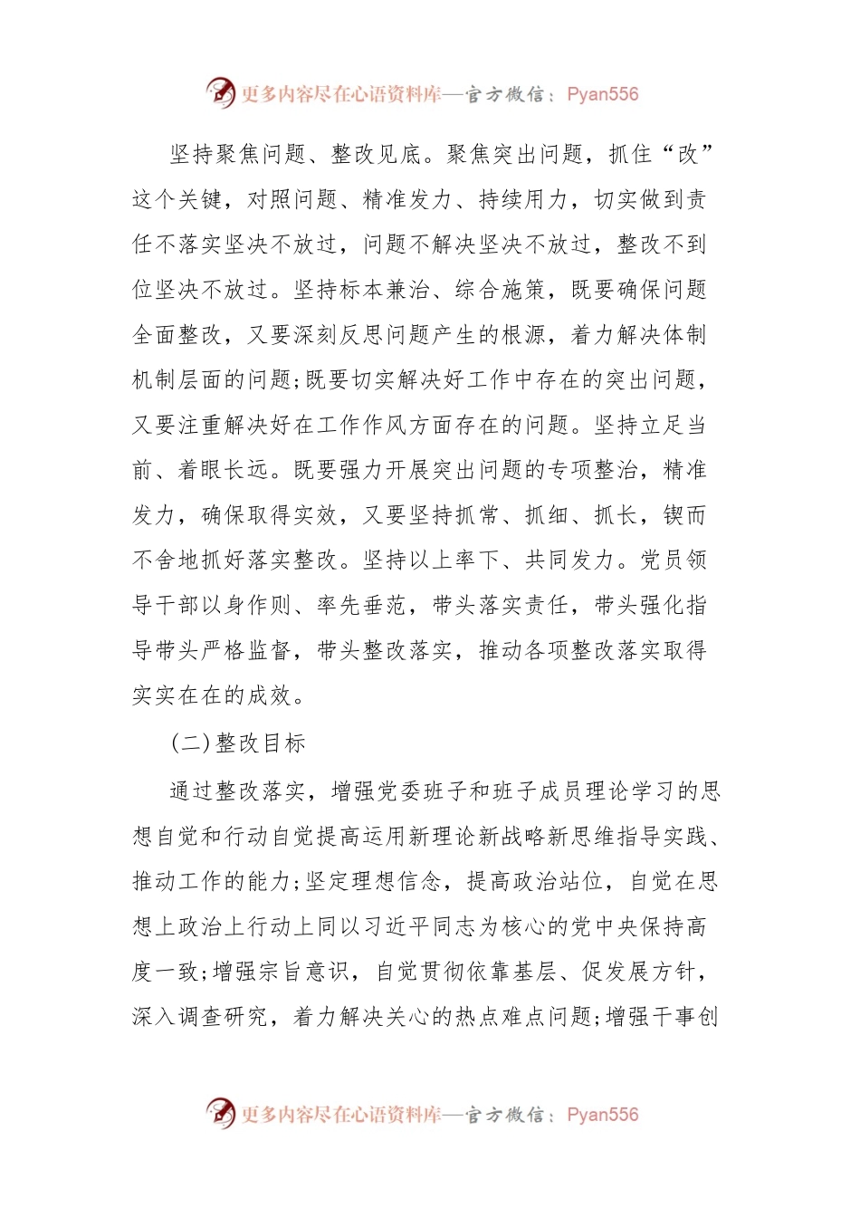 2023年主题教育专题党委民主生活会问题整改实施方案.docx_第2页