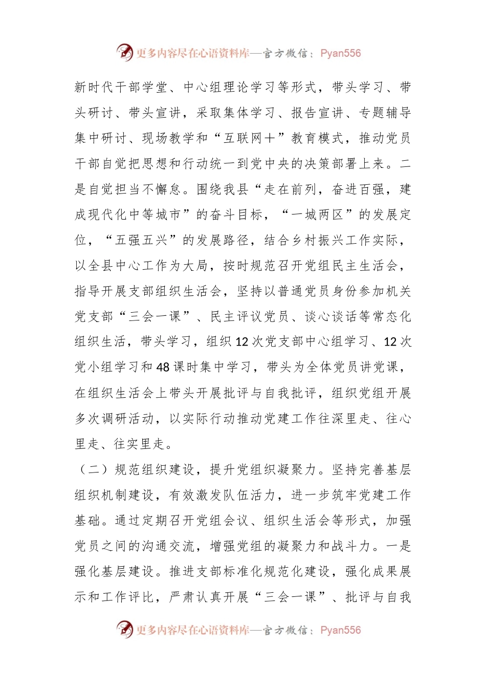 2023年乡村振兴局党组书记抓基层党建工作述职报告.docx_第2页
