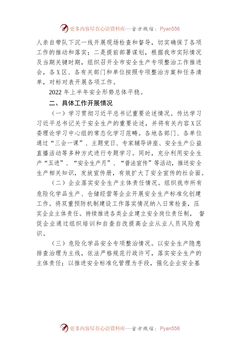 2022年xx市安全生产委员会办公室xx市安全生产专项整治三年行动工作上半年工作总结.docx_第2页