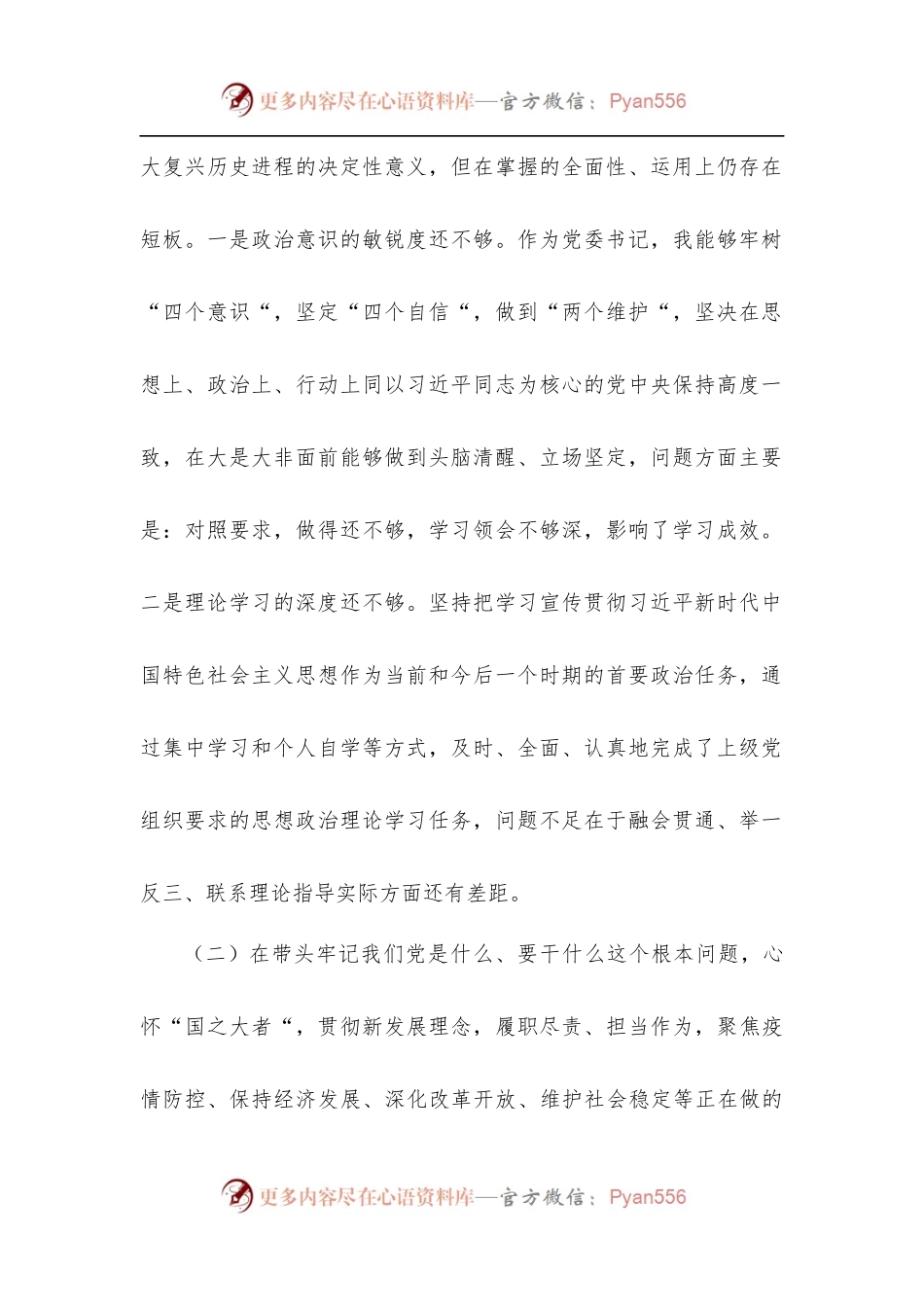 2022年国企党委书记学习教育专题民主生活会对照检查材料[五个带头].docx_第2页