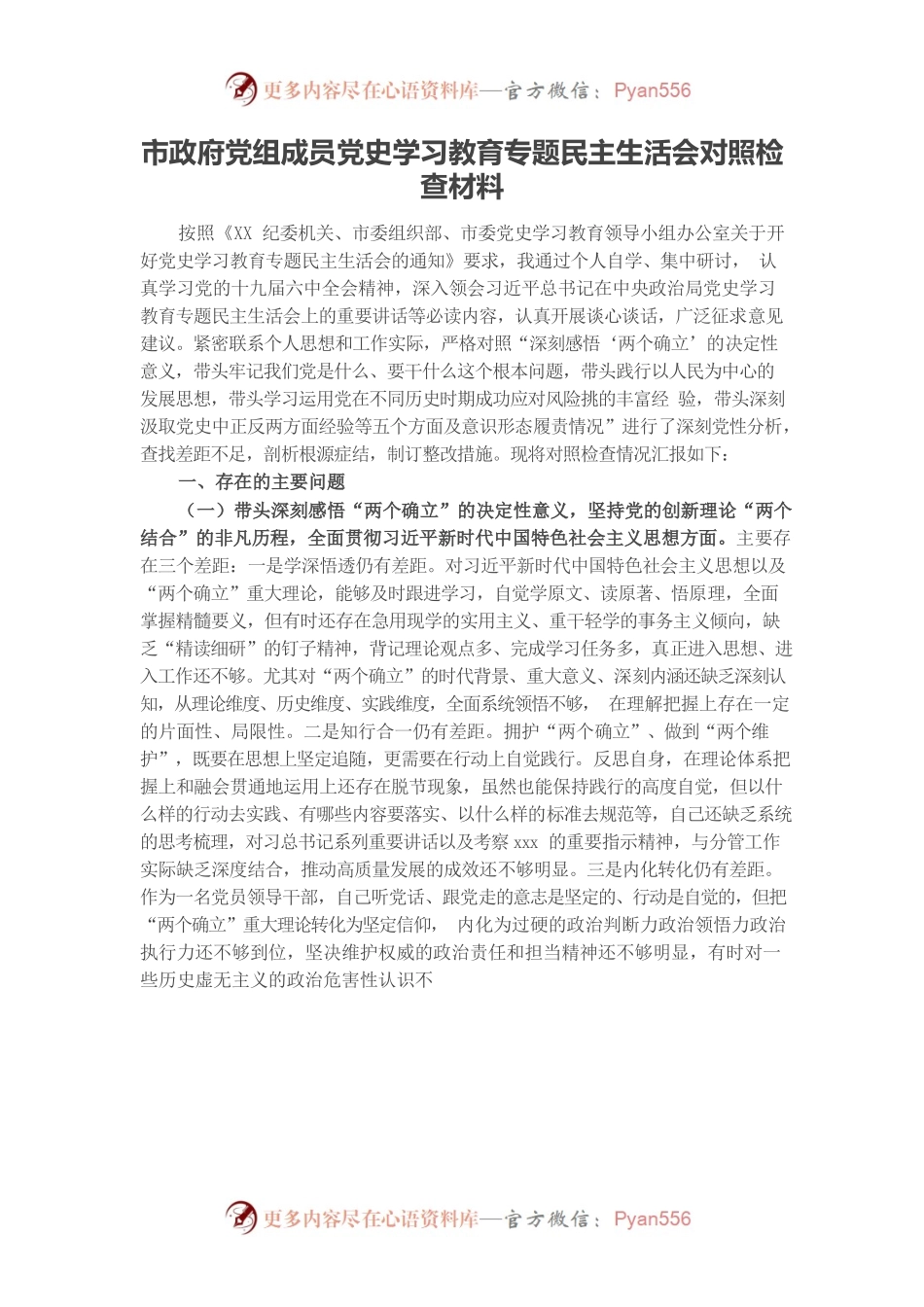 20220102市政府党组成员党史学习教育专题民主生活会对照检查材料.docx_第1页