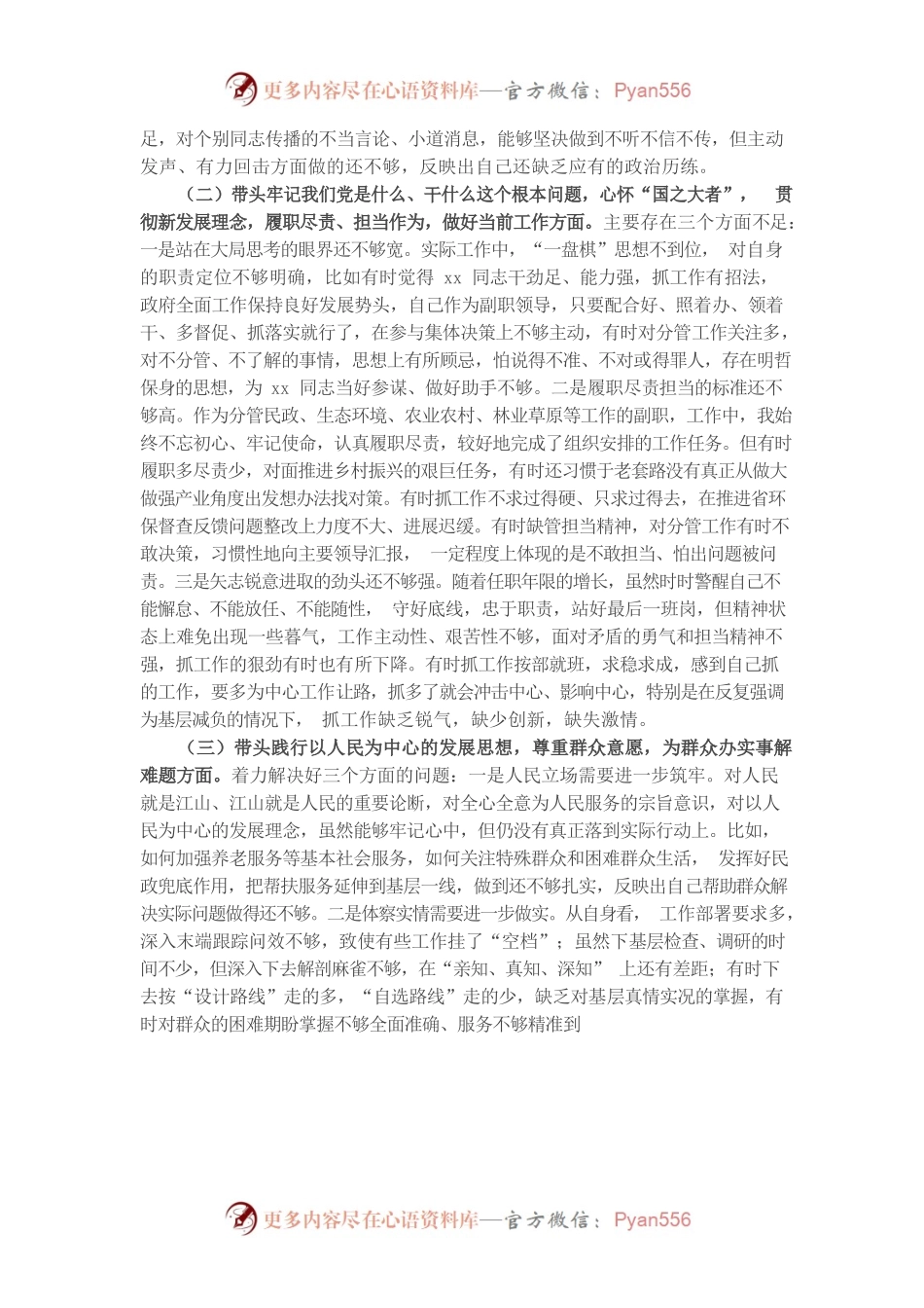 20220102市政府党组成员党史学习教育专题民主生活会对照检查材料.docx_第2页