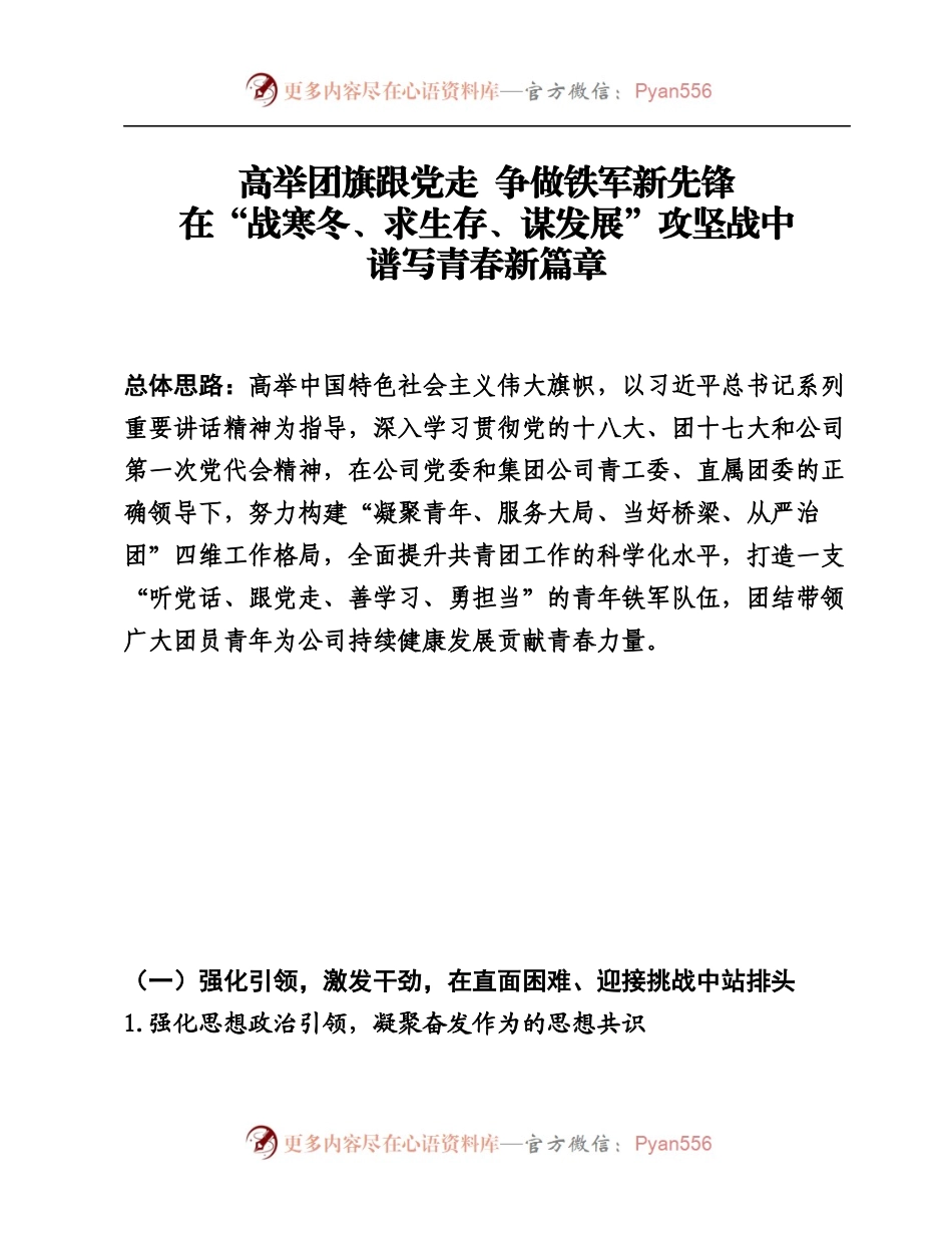 04某公司首次团代会报告结构标题.docx_第1页