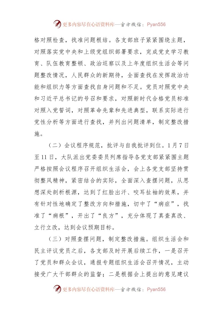 2022年度基层党组织组织生活会和开展民主评议党员工作情况的报告.docx_第2页