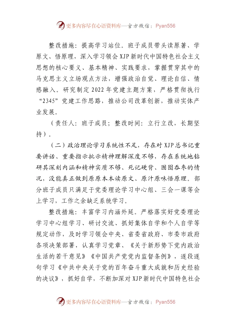 185整改方案2021年专题民主生活会领导班子整改方案（公司）.docx_第2页