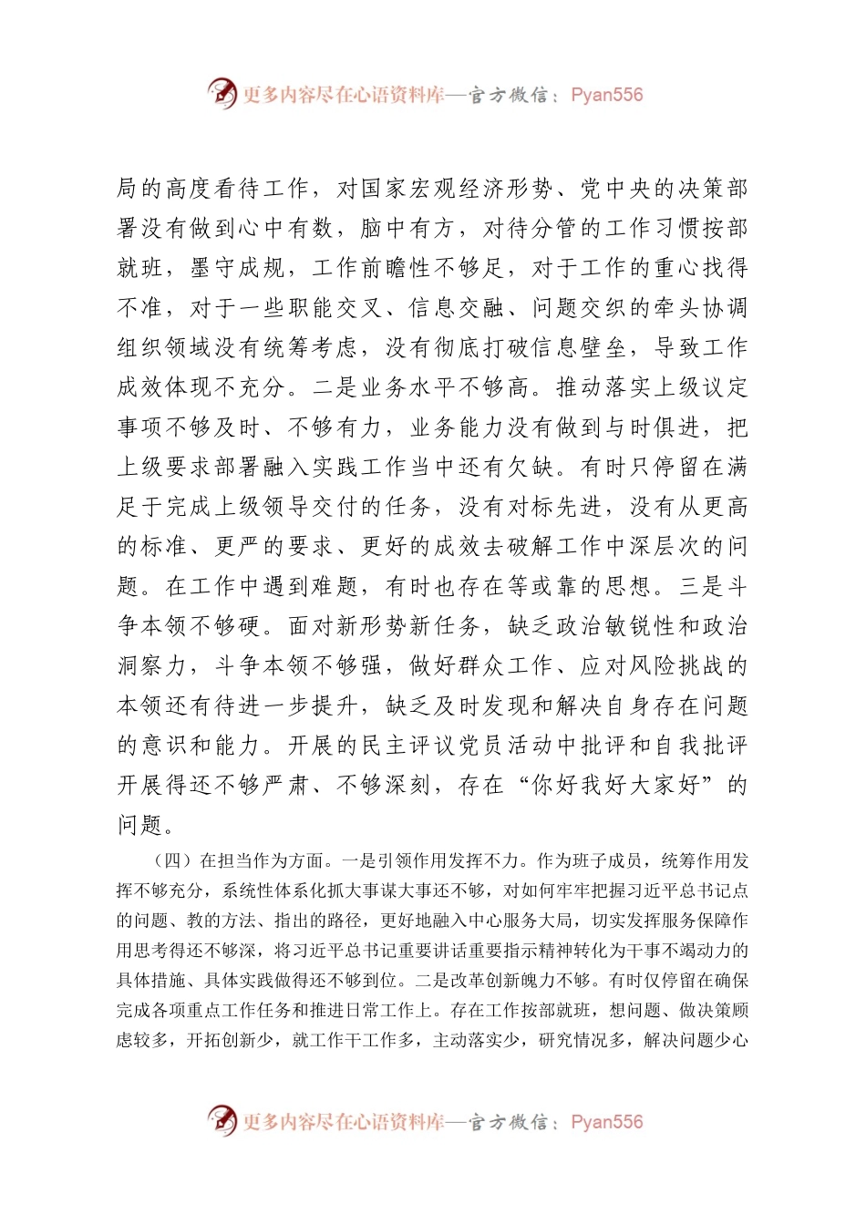 2023年主题教育专题民主生活会剖析发言材料（五）（问题部分）.docx_第2页