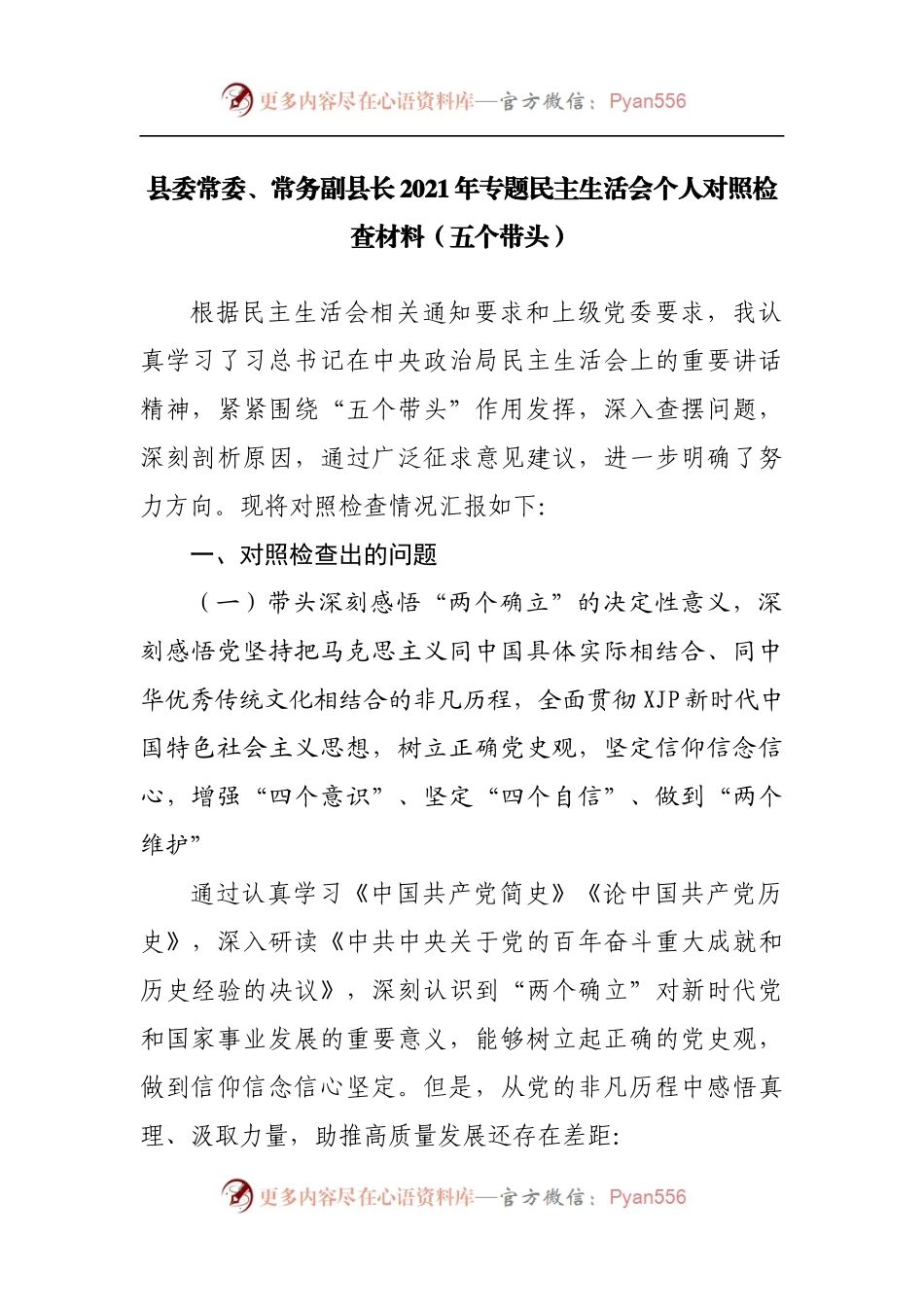 1县委常委、常务副县长2021年专题民主生活会个人对照检查材料[五个带头].docx_第1页