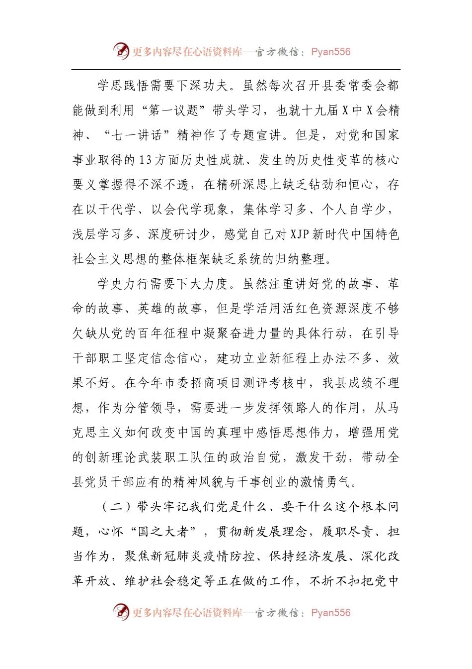 1县委常委、常务副县长2021年专题民主生活会个人对照检查材料[五个带头].docx_第2页