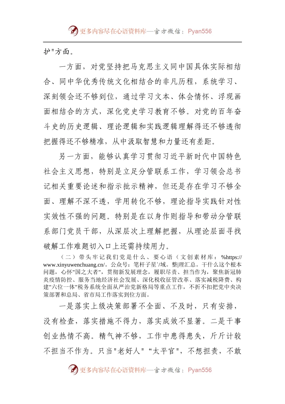 177个人2021年专题民主生活会对照检查发言材料[副职].docx_第2页
