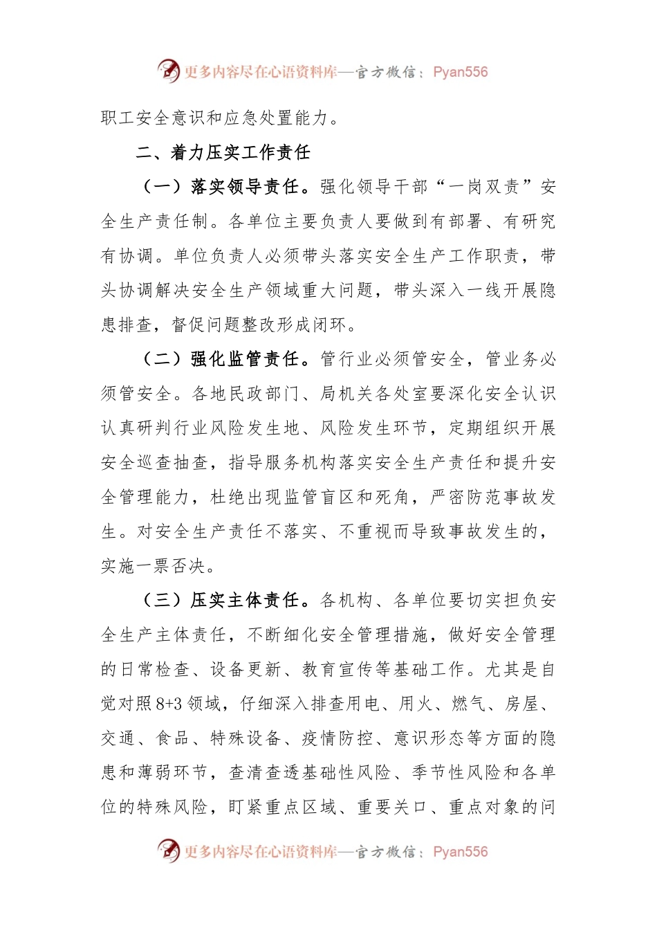 2023年全市民政系统安全生产工作要点.docx_第2页