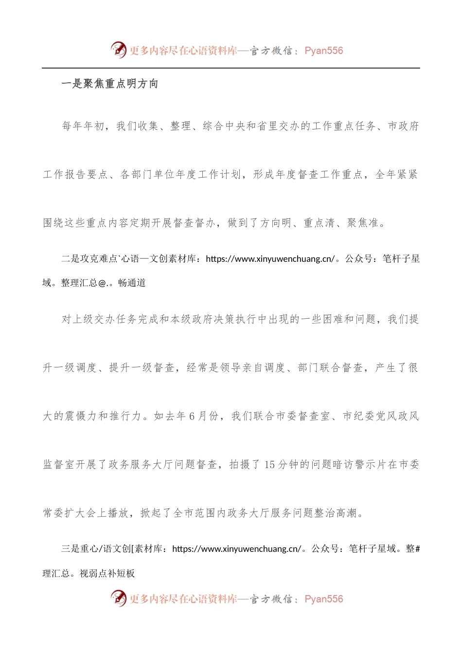 2022年全省督查工作会议发言.docx_第2页