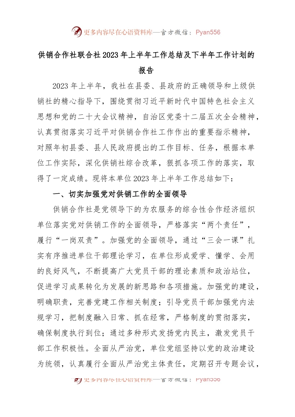 (3篇)供销社2023年上半年工作总结及下半年工作计划.docx_第2页