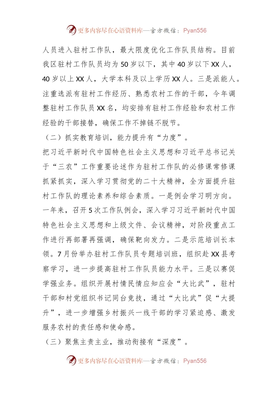 2022年度驻村工作队工作述职报告.docx_第2页
