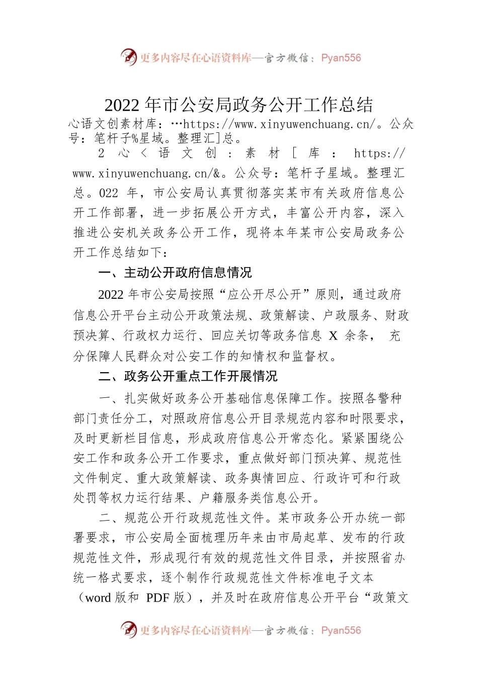 2022年市公安局政务公开工作总结（20221229）.docx_第1页