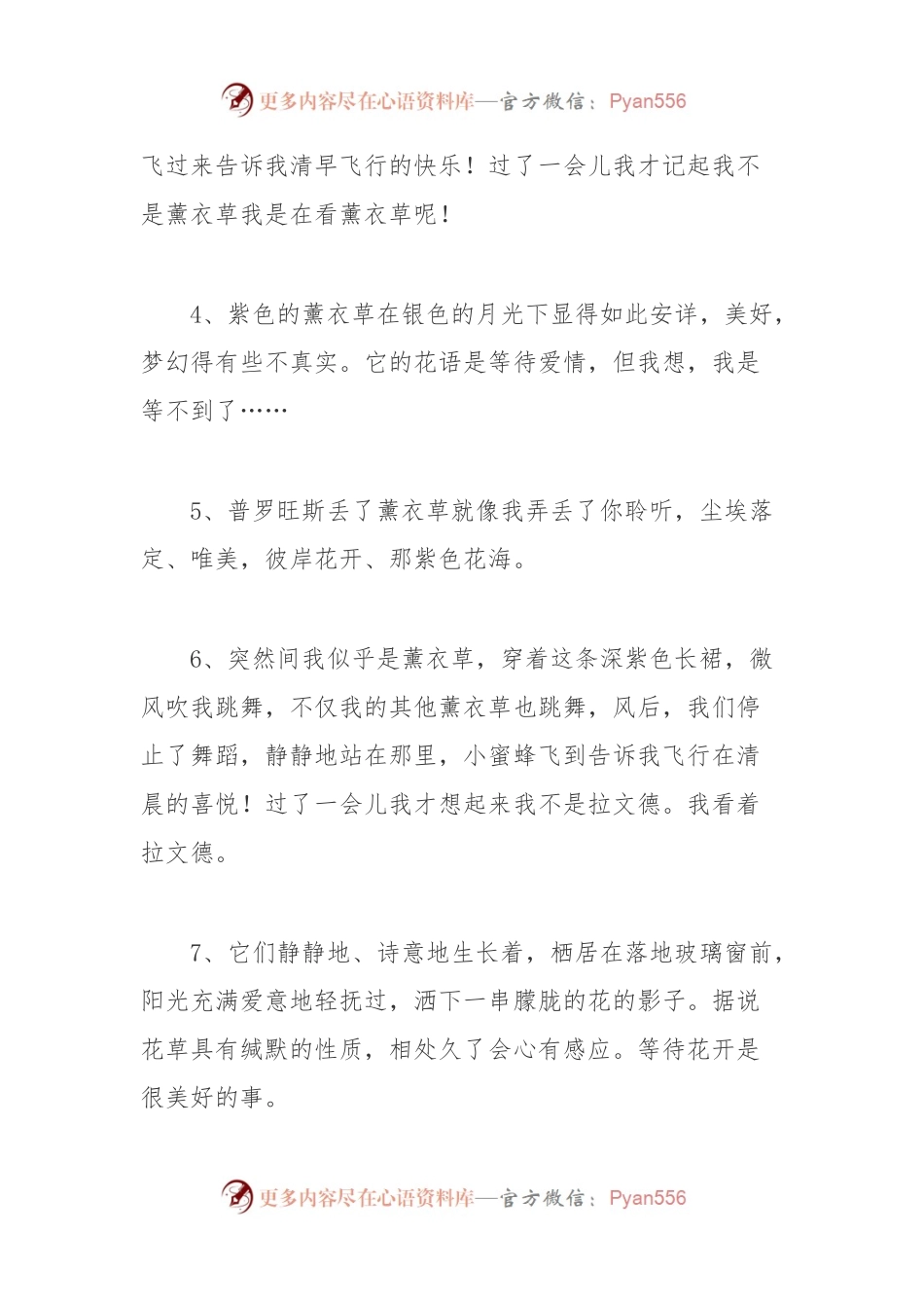 (42条)描述薰衣草优美的简短唯美文案收藏.docx_第2页