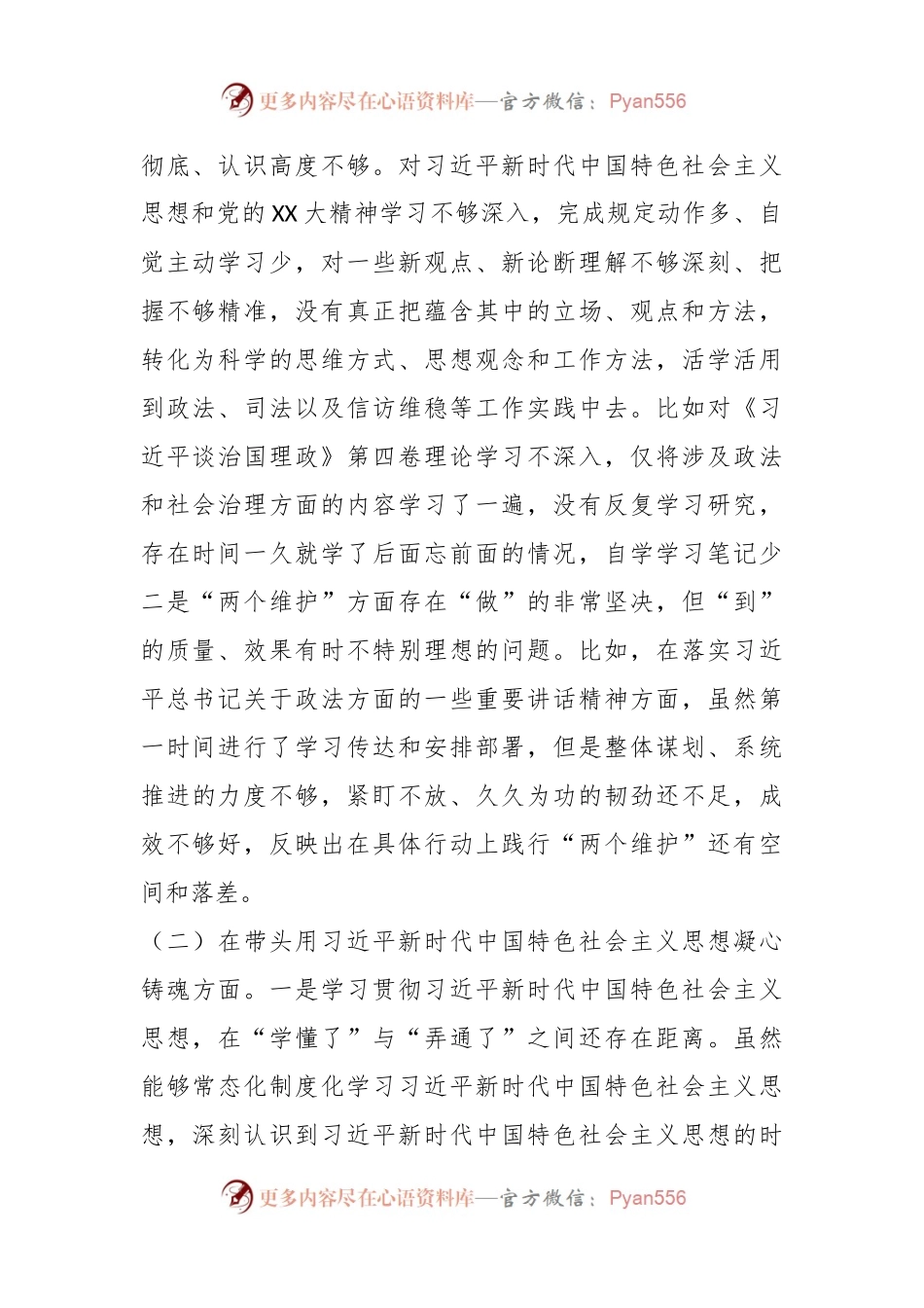 2022年度民主生活会个人发言提纲系列八.docx_第2页