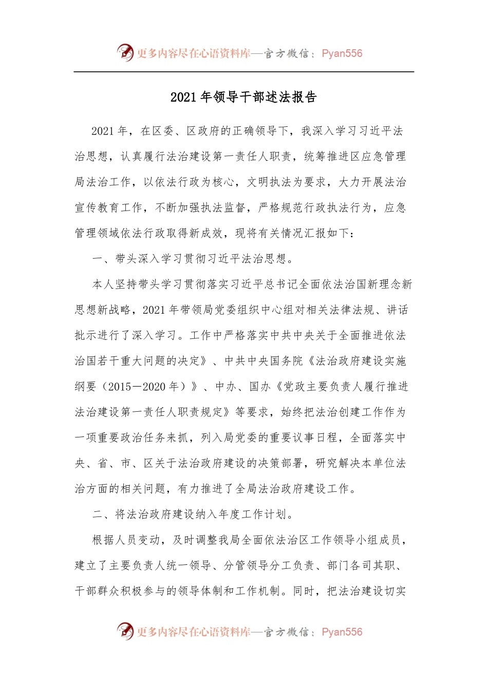 2021年领导干部述法报告.docx_第1页
