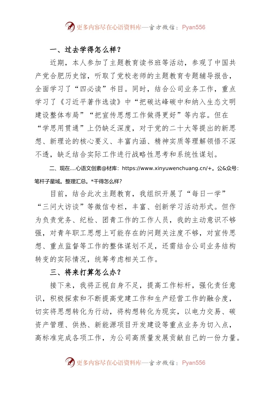 (10篇)主题教育三问研讨发言材料集团公司企业过去学得怎么样现在干得怎么样将来打算怎么办.docx_第2页