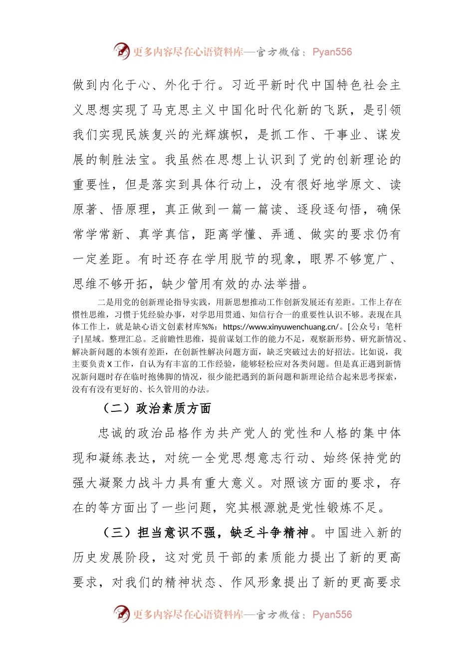 2023年主题教育专题民主生活会检视剖析发言提纲.docx_第2页