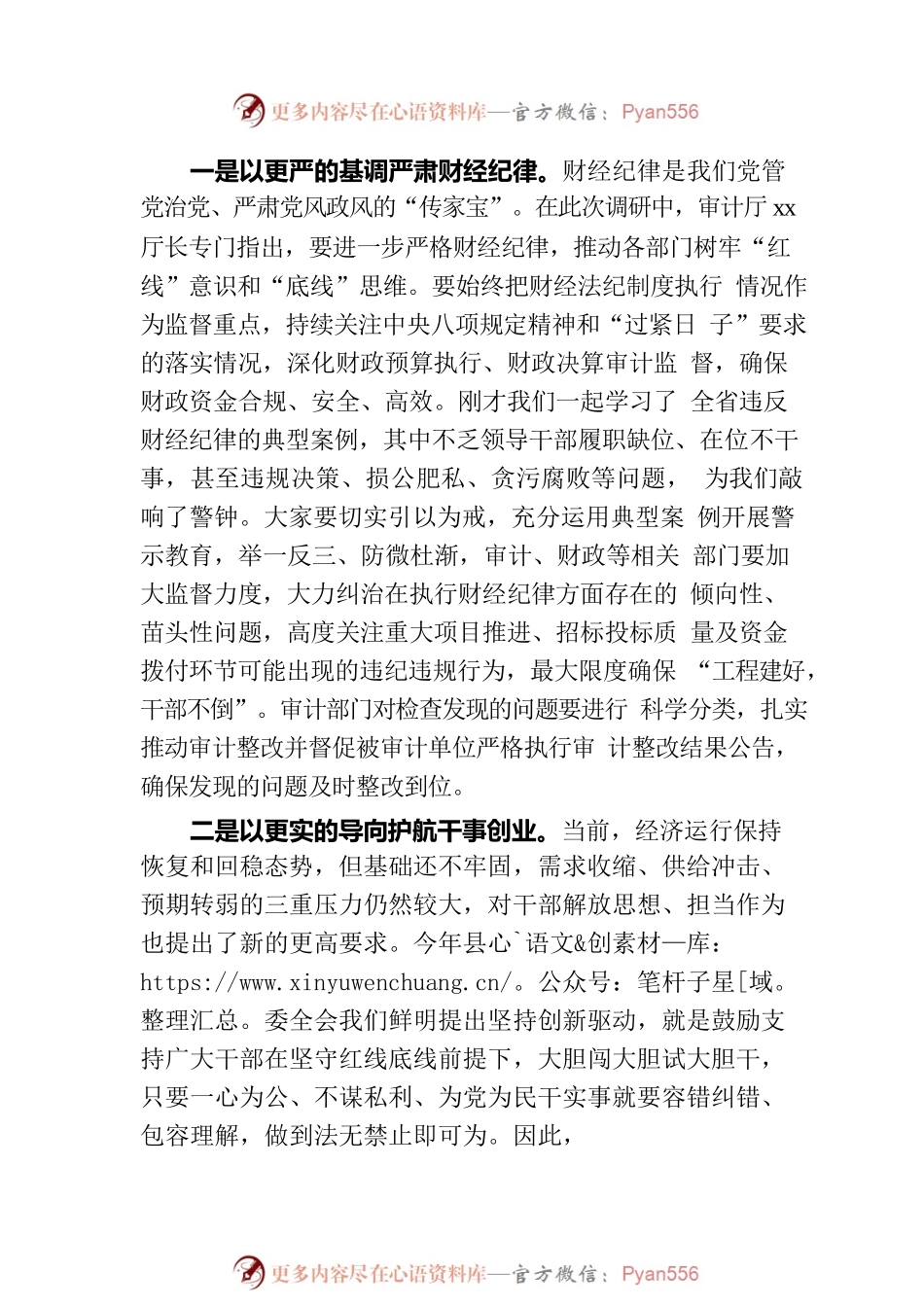 2023年在县委审计委员会会议上的讲话.docx_第2页