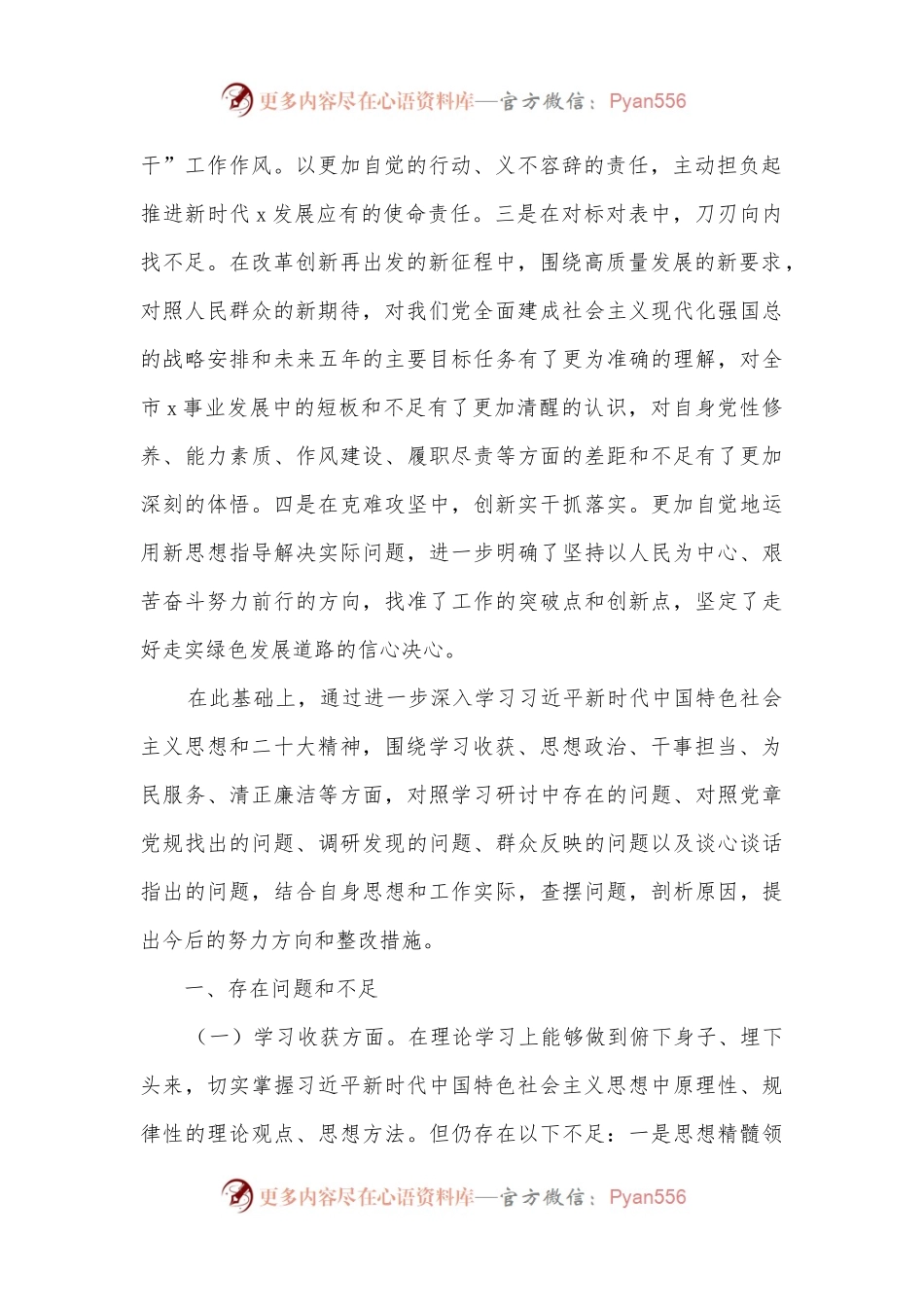 2022年民主生活会检视剖析材料（个人）（局党组书记、局长）.docx_第2页