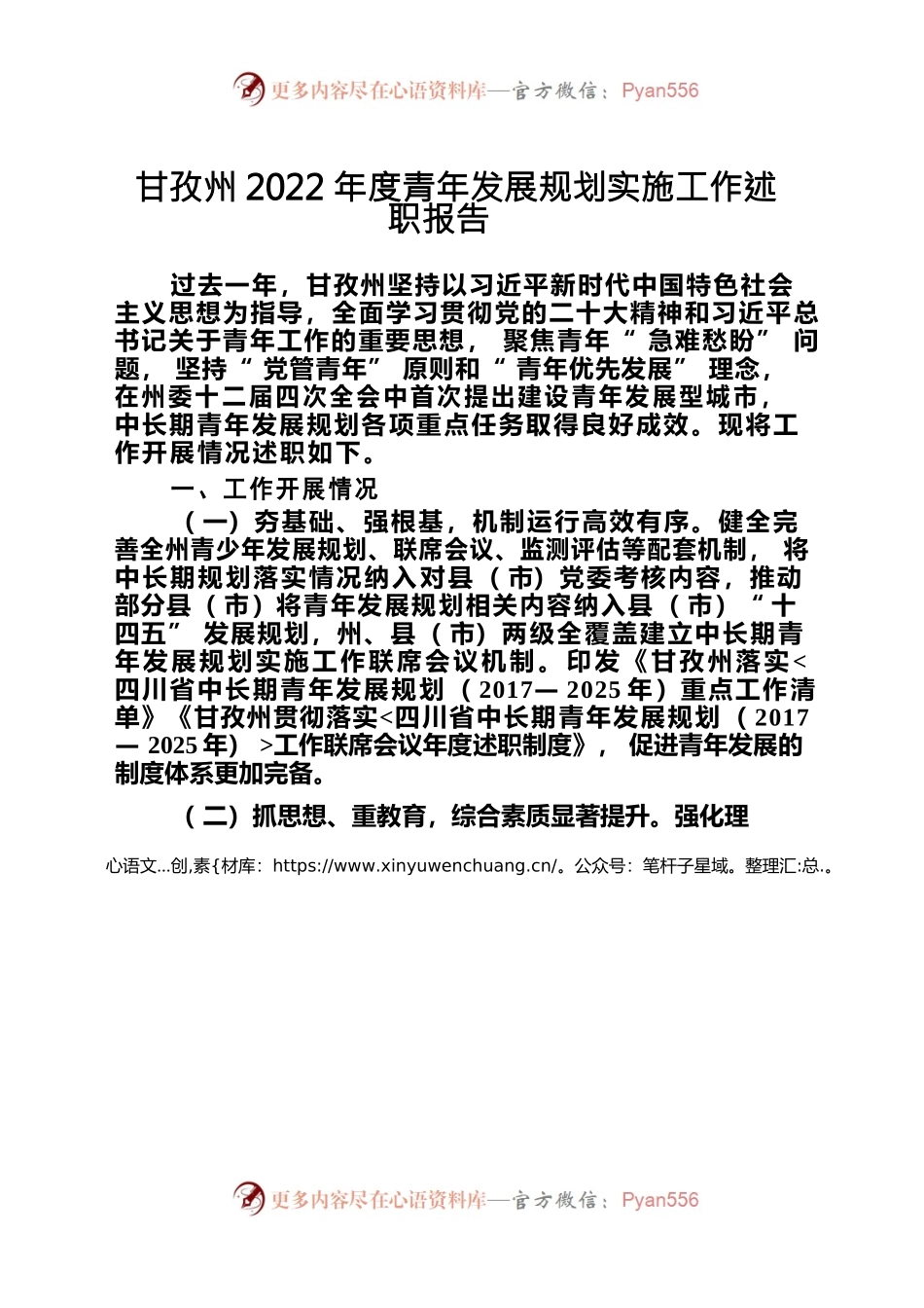 2022年度青年发展规划实施工作述职报告.docx_第1页