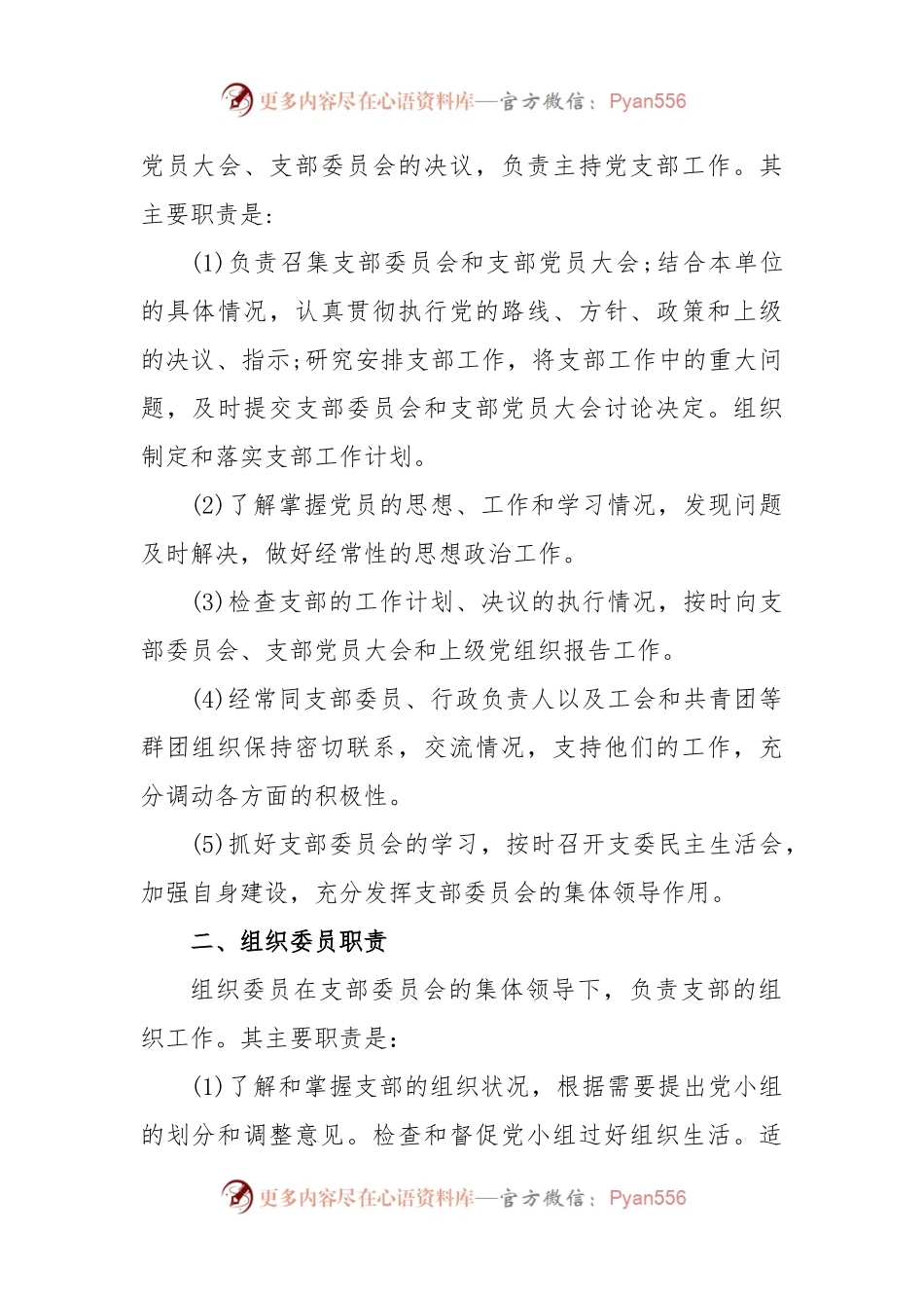 (4篇)党支部委员职责分工.docx_第2页