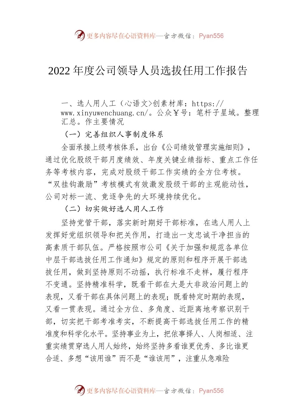 2022年度公司领导人员选拔任用工作报告.docx_第1页