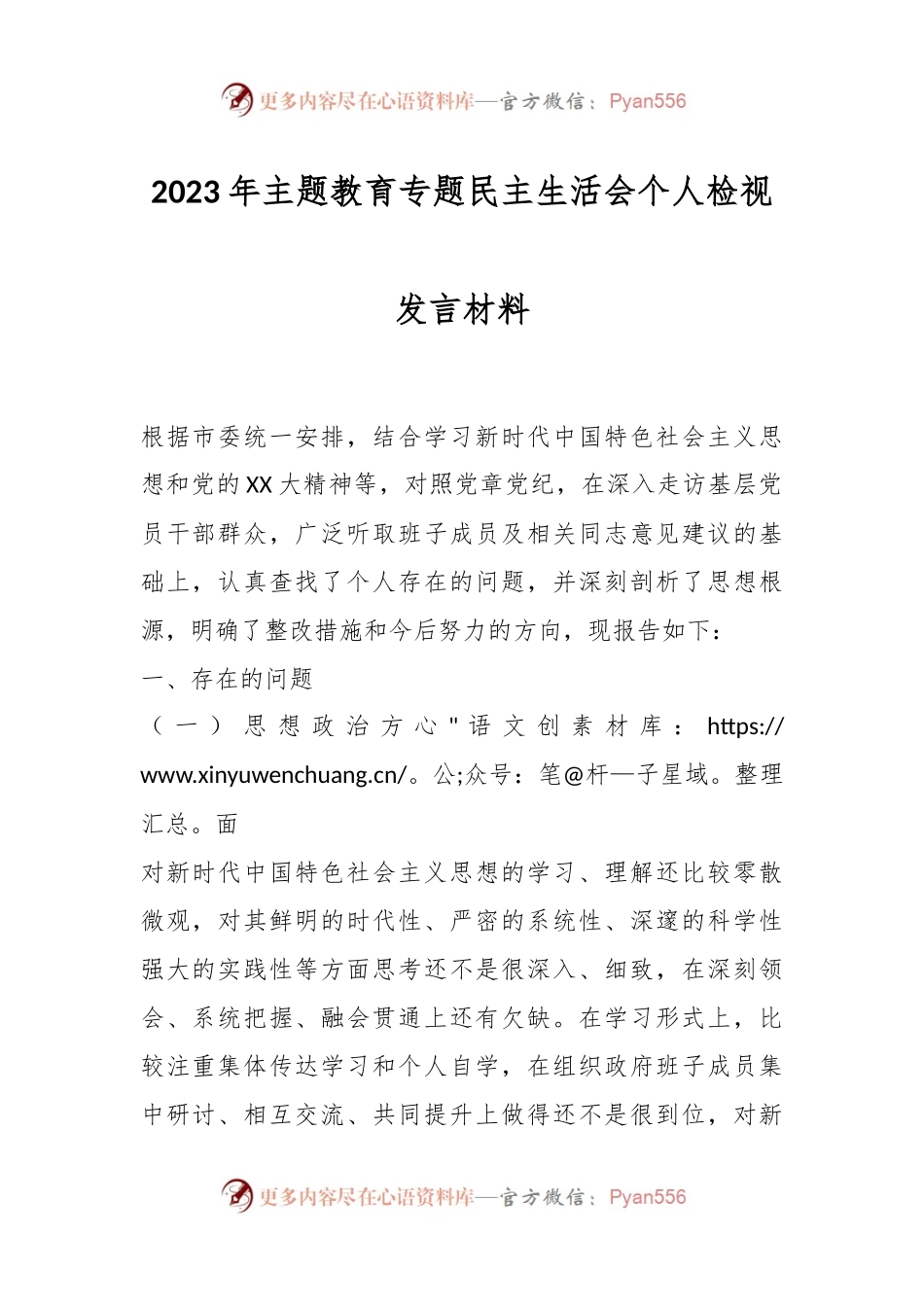 2023年主题教育专题民主生活会个人检视发言材料.docx_第1页