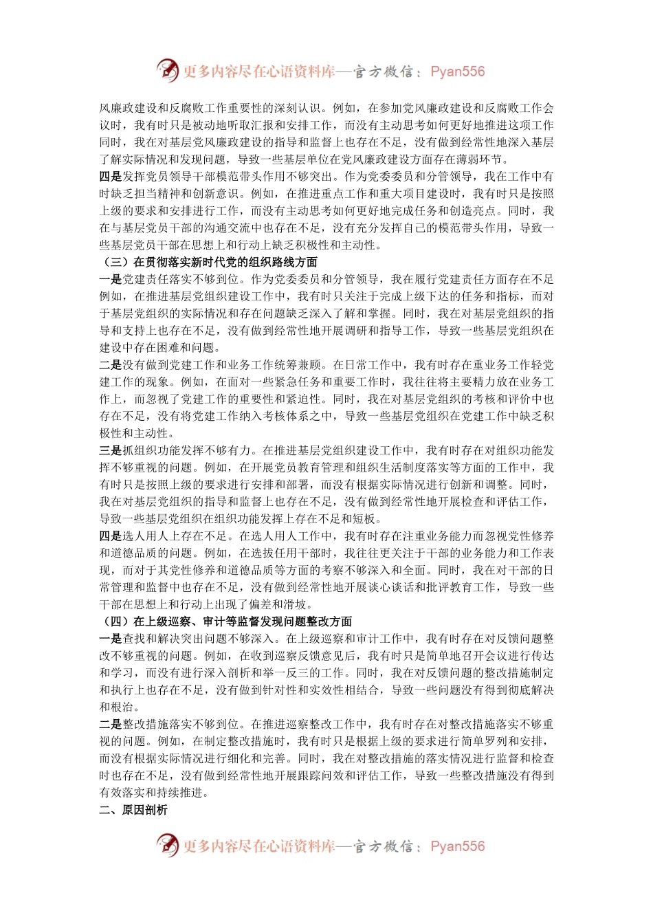 2024年乡镇党委委员巡视整改专题民主生活会个人对照检查材料.docx_第2页