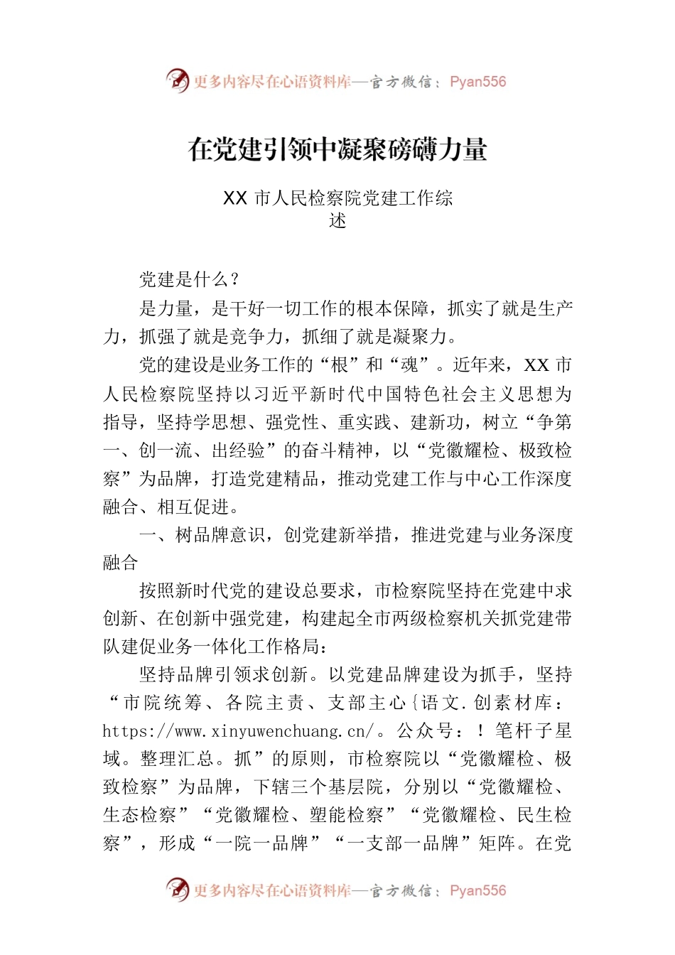 XX市人民检察院党建工作综述.docx_第1页