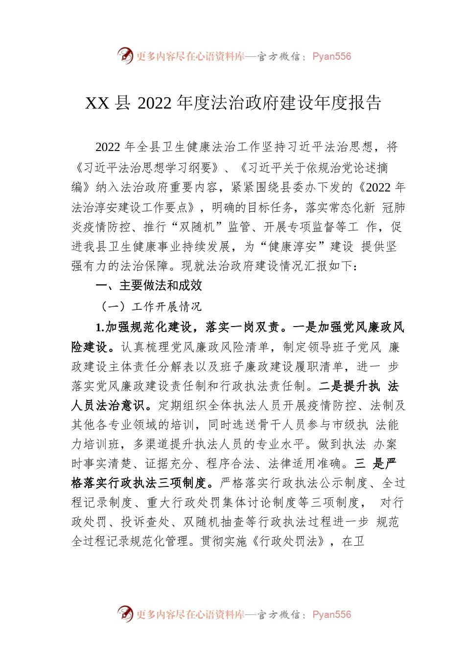 XX县2022年度法治政府建设年度报告（20221123）.docx_第1页