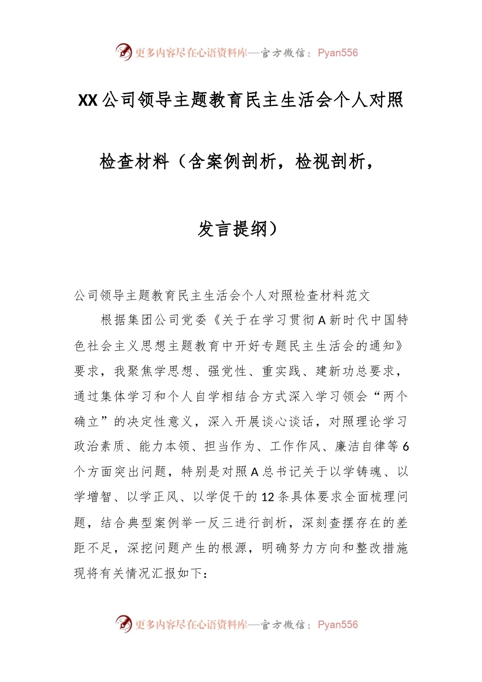 XX公司领导主题教育民主生活会个人对照检查材料（含案例剖析，检视剖析，发言提纲）.docx_第1页