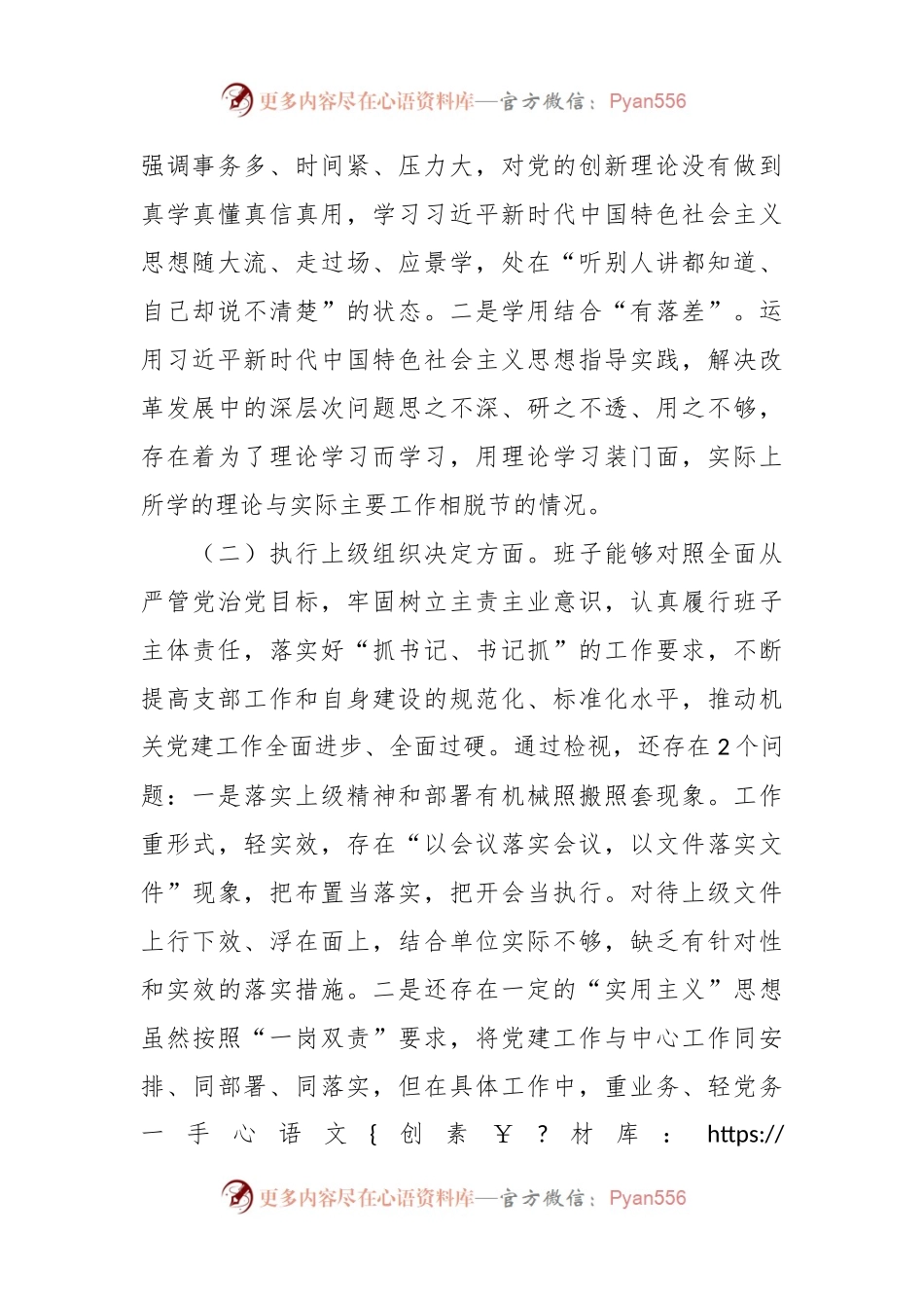 2023年度主题教育组织生活会支部班子发言稿提纲（2）.docx_第2页