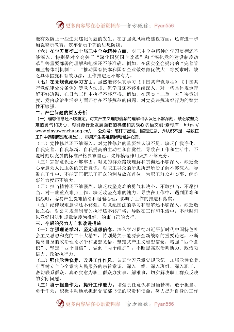 2024年度国企（能源公司）基层党支部书记巡察整改组织生活会个人对照检查发言材料.docx_第2页