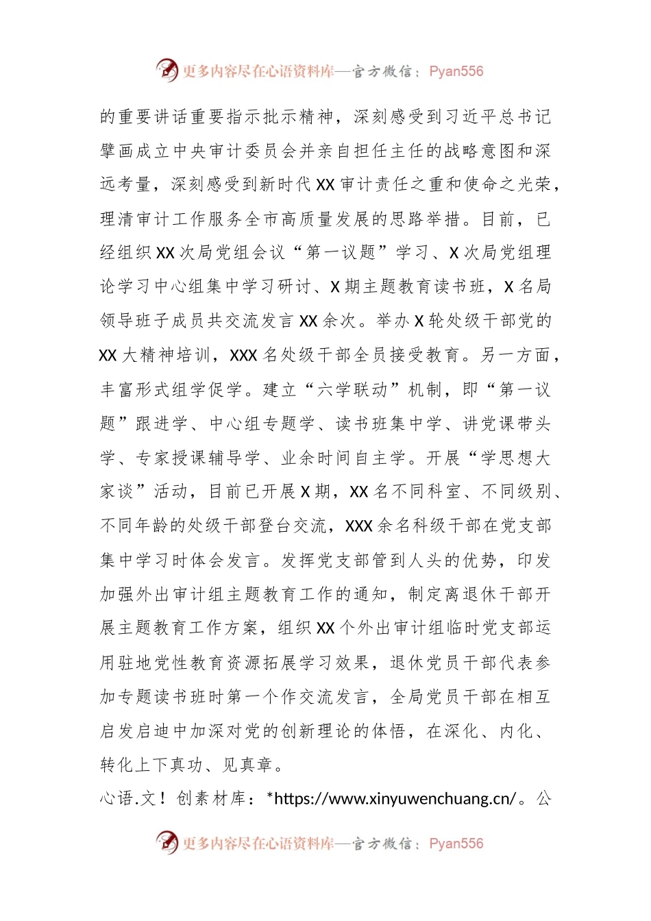 XX审计局在巡回指导组主题教育总结评估座谈会上的汇报发言.docx_第2页