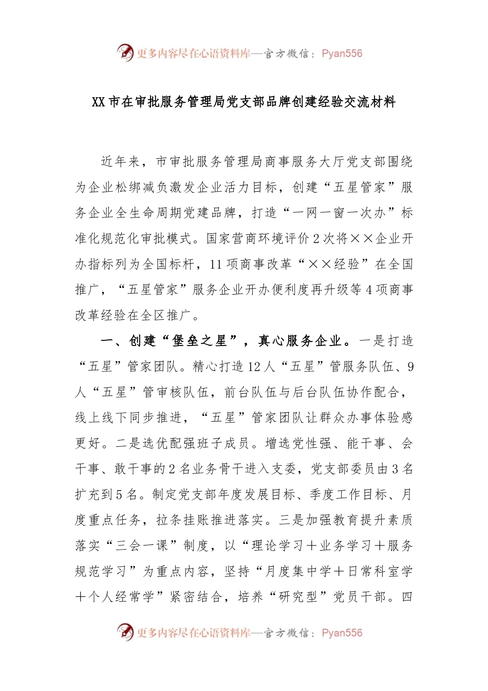 XX市在审批服务管理局党支部品牌创建经验交流材料.docx_第1页