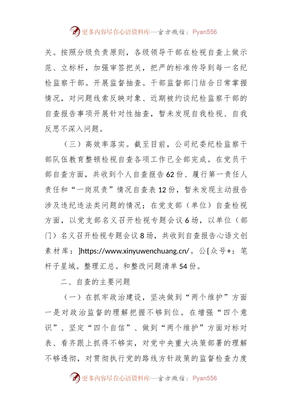 XX公司纪委纪检监察干部队伍教育整顿自查报告.docx_第2页