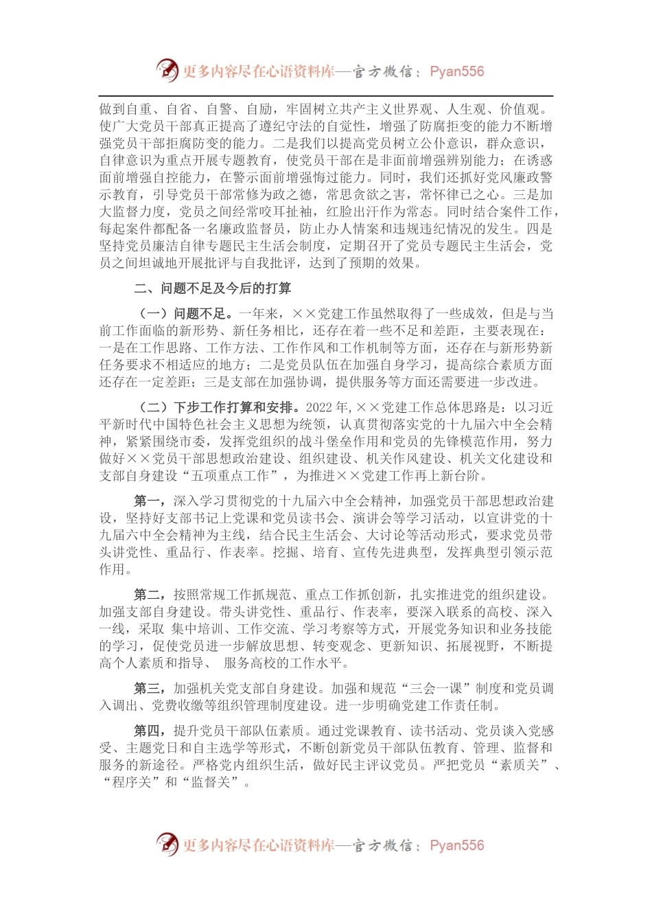 202X年党支部工作总结及2022年工作计划.docx_第2页