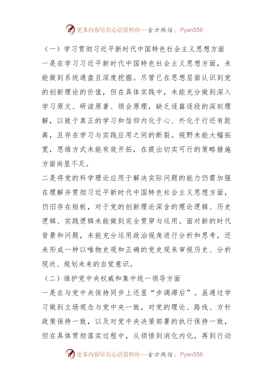 2023年度第二批主题教育民主生活会个人对照检查材料（一）.docx_第2页