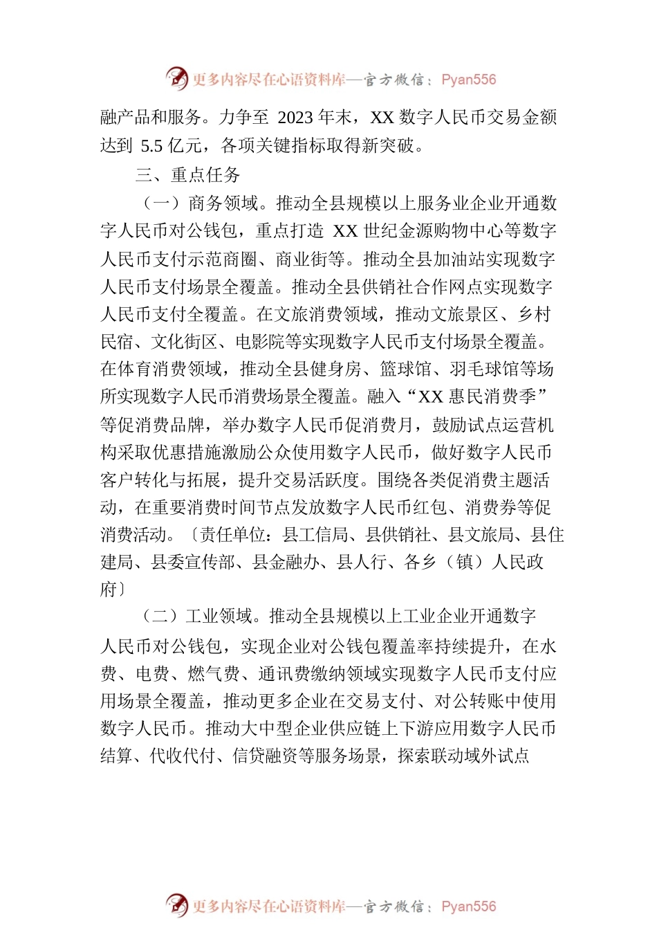 XX县2023年数字人民币试点行动计划.docx_第2页