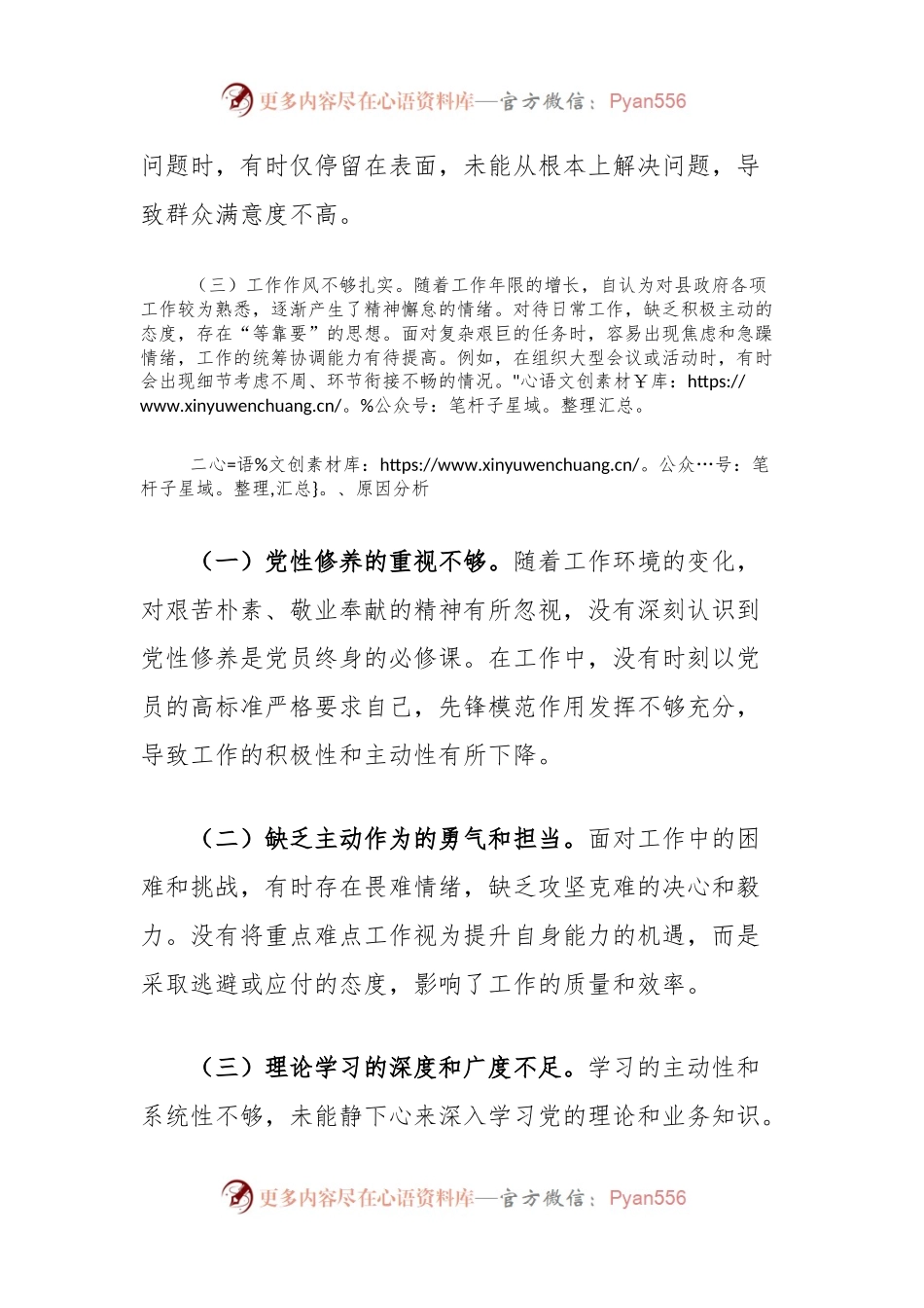2024年党员个人党性分析材料（县政府办公室主任）.docx_第2页