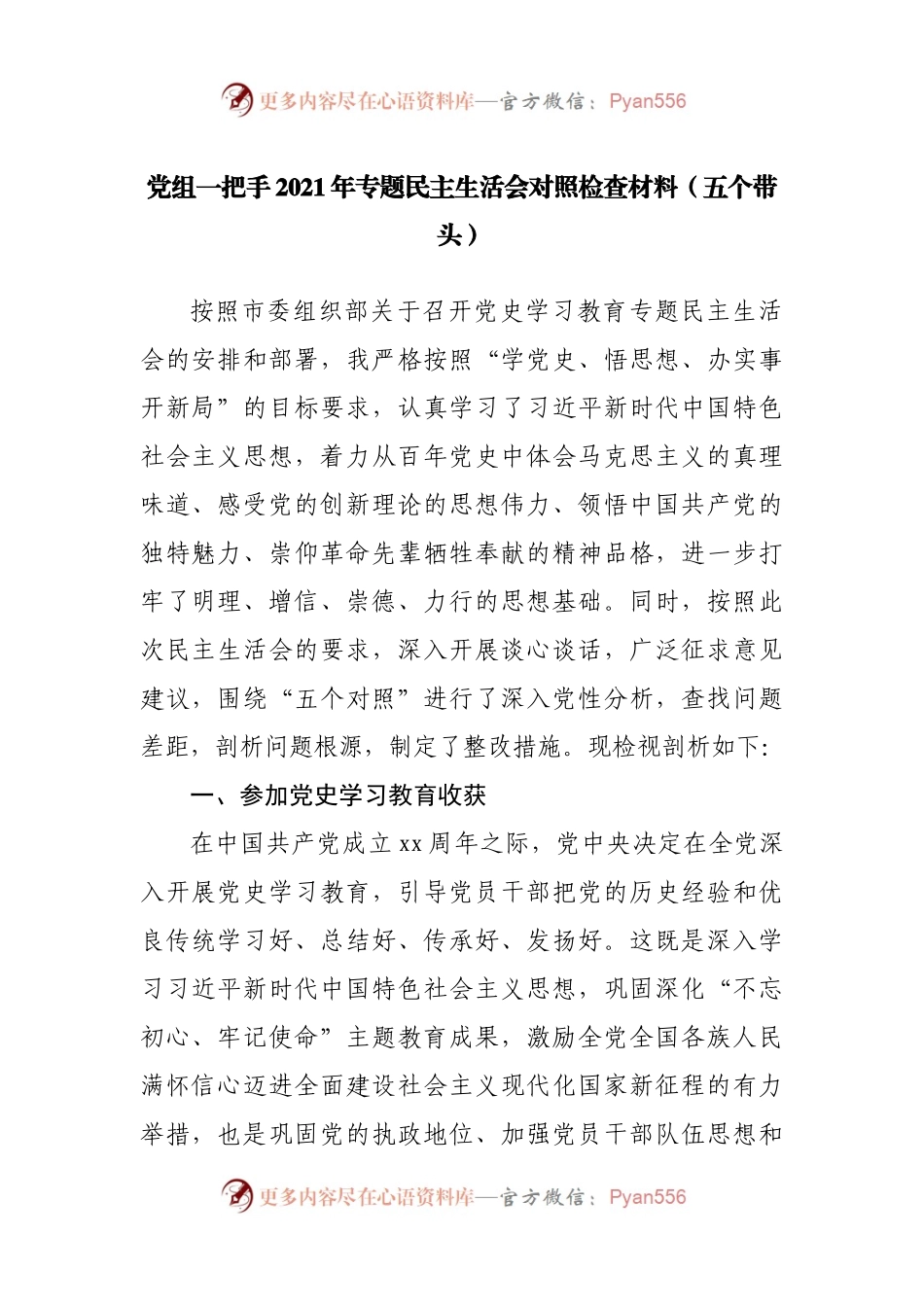 64个人2021年专题民主生活会对照检查材料（主要负责人）.docx_第1页