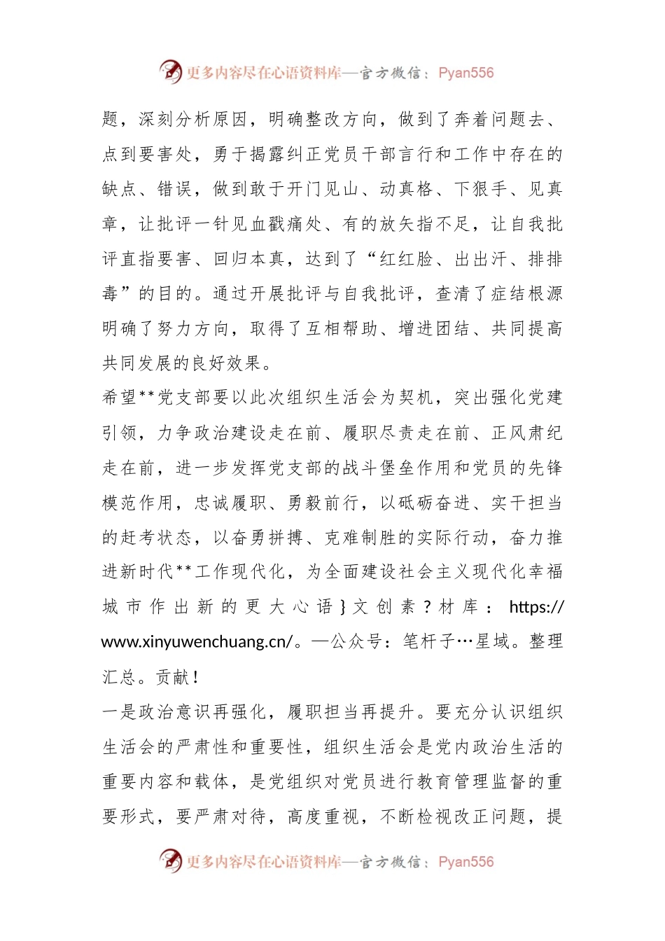 20XX年度党支部组织生活会和组织评议党员大会上的点评讲话.docx_第2页