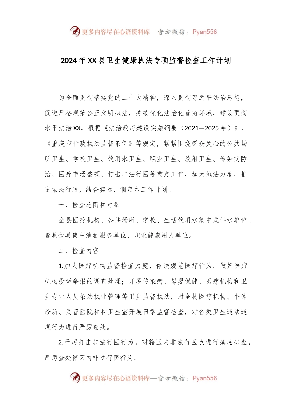 2024年XX县卫生健康执法专项监督检查工作计划.docx_第1页