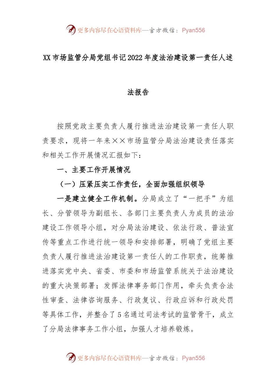 XX市场监管分局党组书记2022年度法治建设第一责任人述法报告.docx_第1页