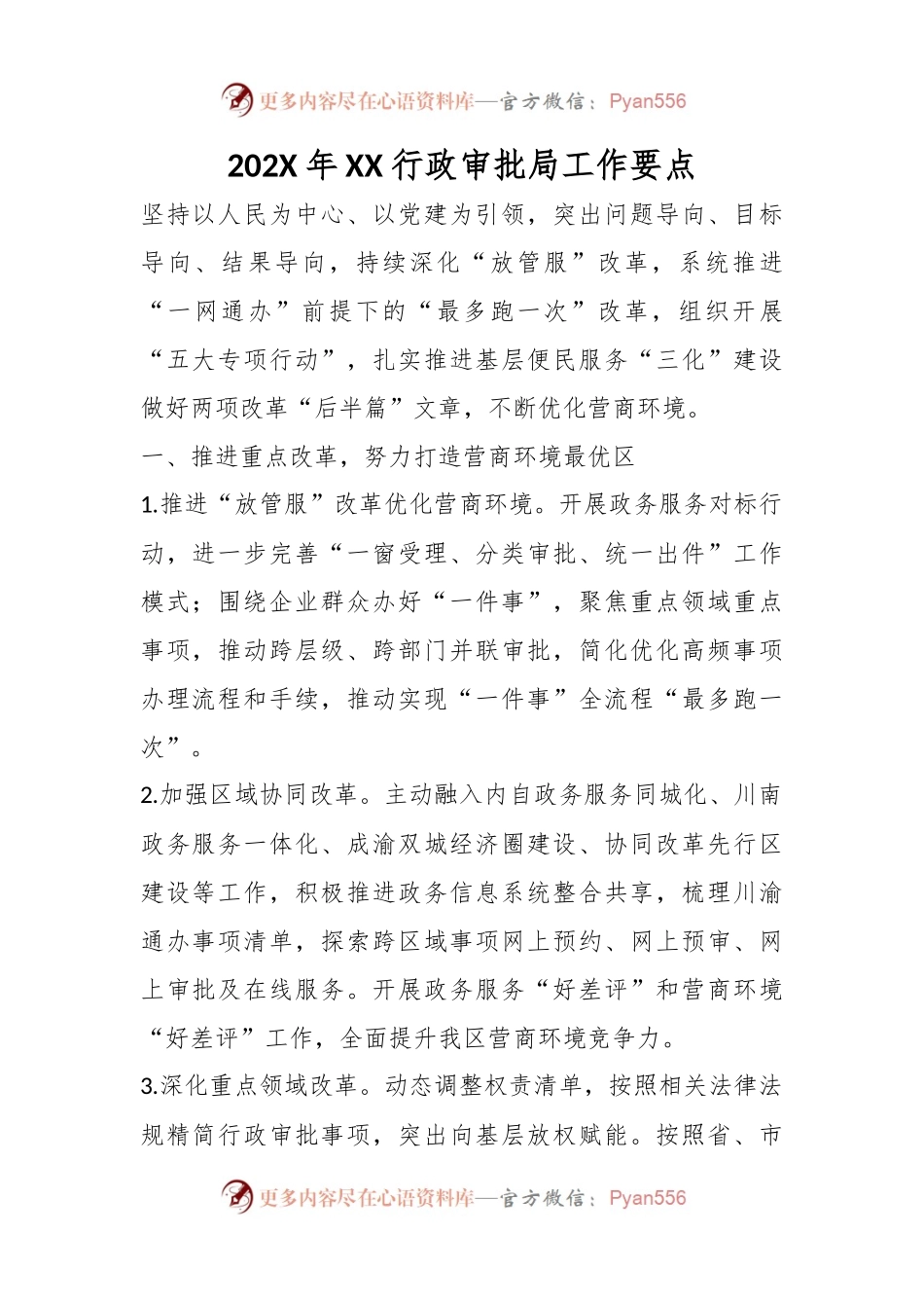 202X年XX行政审批局工作要点.docx_第1页