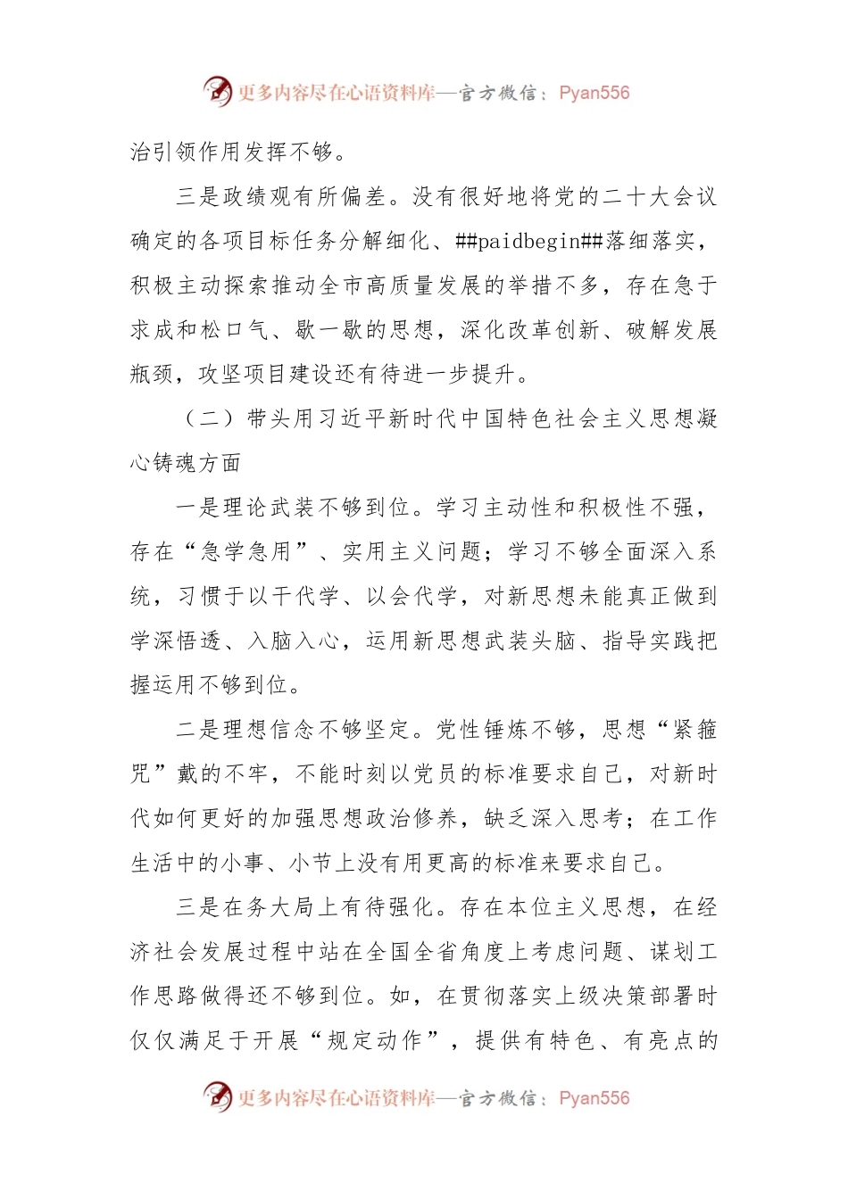 (2篇)2023年专题民主生活会个人对照检查材料范文.docx_第2页