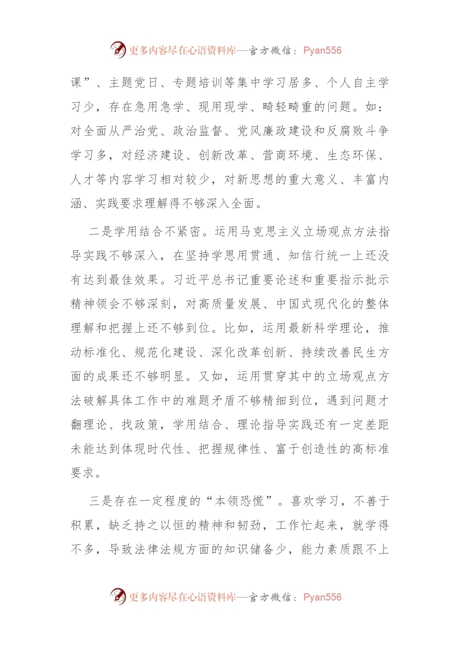 2023年主题教育专题民主生活会个人对照检查材料发言稿提纲.docx_第2页