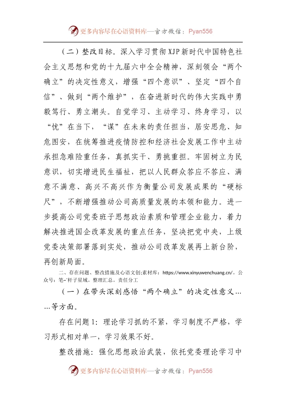 164整改方案2021年专题民主生活会整改方案[公司].docx_第2页